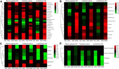 Genome-Wide Identification and Expression Analysis Elucidates the Potential Role of PFK Gene Family in Drought Stress Tolerance and Sugar Metabolism in Cotton